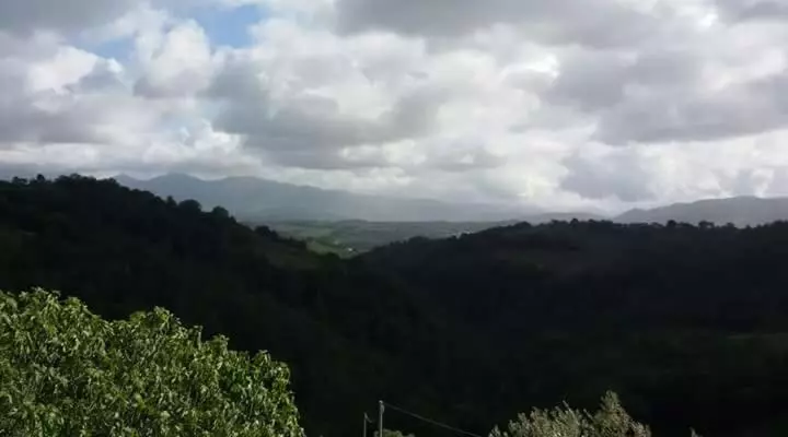 ホテル Agriturismo Isola Verde