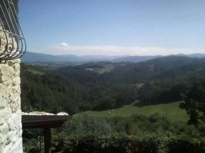 ホテル Agriturismo Isola Verde