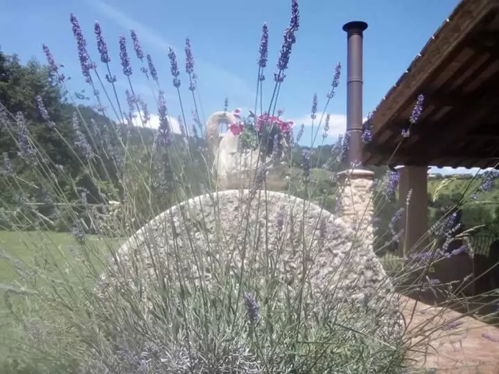 ホテル Agriturismo Isola Verde