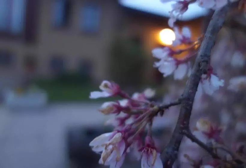 ホテル Agriturismo L Antico Sapore