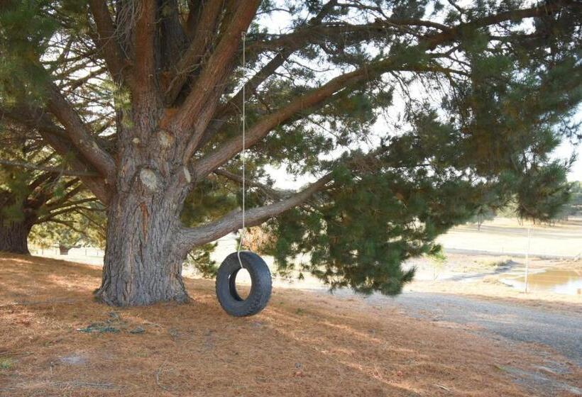 בית מלון כפרי Emu Lodge Country Retreat