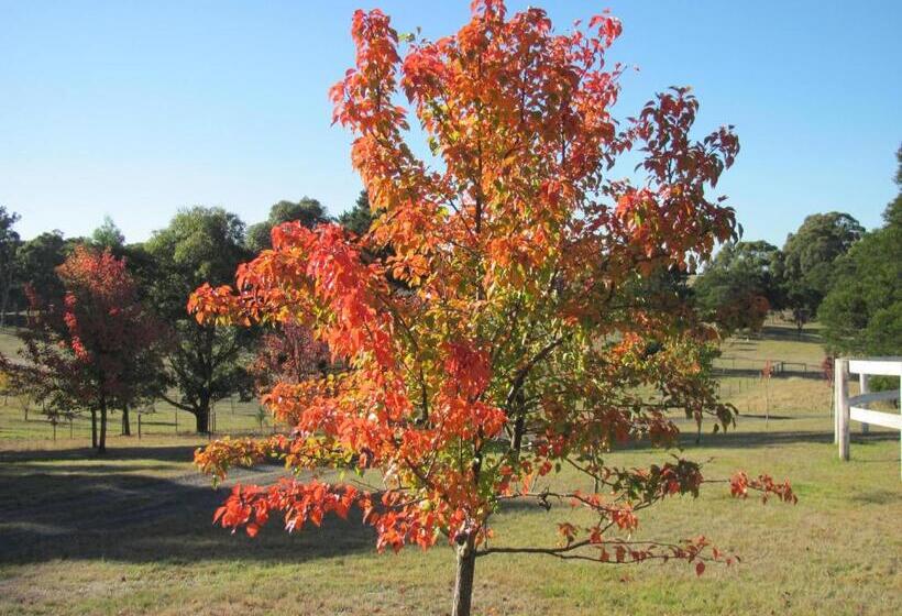 בית מלון כפרי Emu Lodge Country Retreat