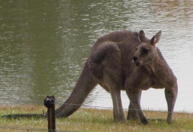 בית מלון כפרי Emu Lodge Country Retreat