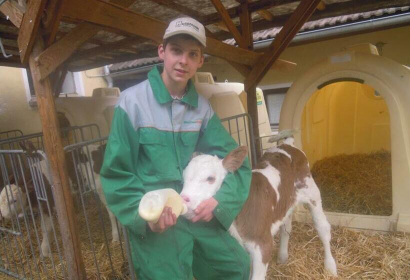 בית מלון כפרי Seppl Am Berg