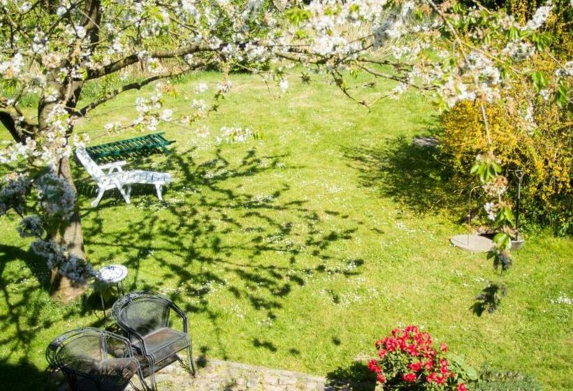 膳宿费 Adelheidshof