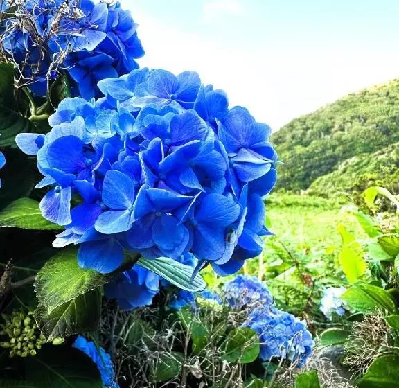 ペンション Caldeira Guesthouse