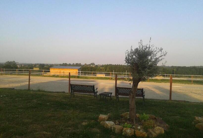 פנסיון Chambre D Hôtes La Ruzardière