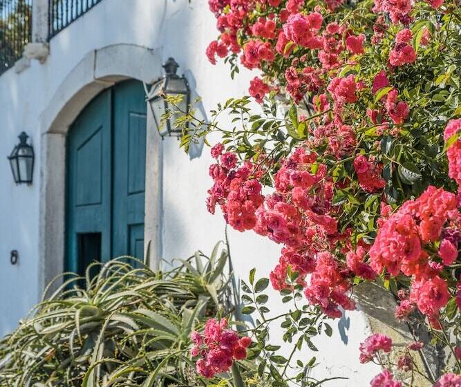 بنسيون Eighteen21 Houses Casa Dos Condes