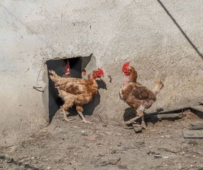 بنسيون Eighteen21 Houses Casa Dos Condes