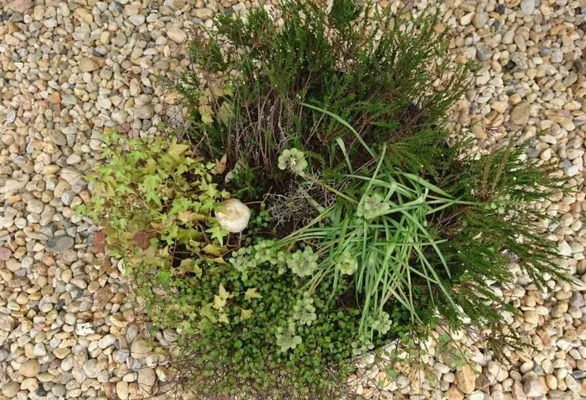 Majatalo Heidebistro