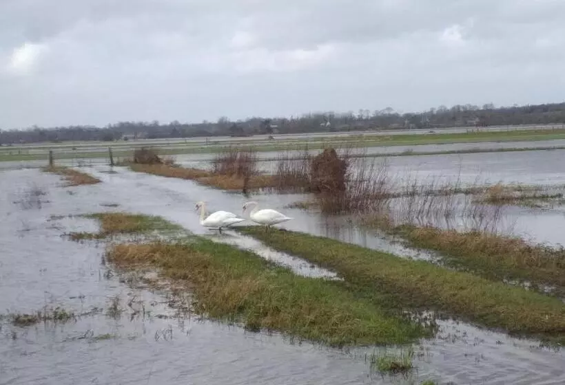 Majatalo Le Relais De La Chaussee