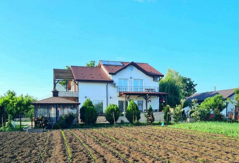 بنسيون Nobless Villa