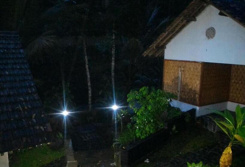 Pensiune Omah Ndeso Argopeni