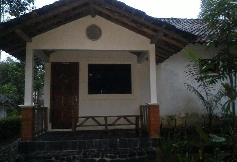 Pensiune Omah Ndeso Argopeni