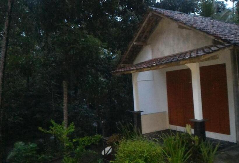 Pensiune Omah Ndeso Argopeni