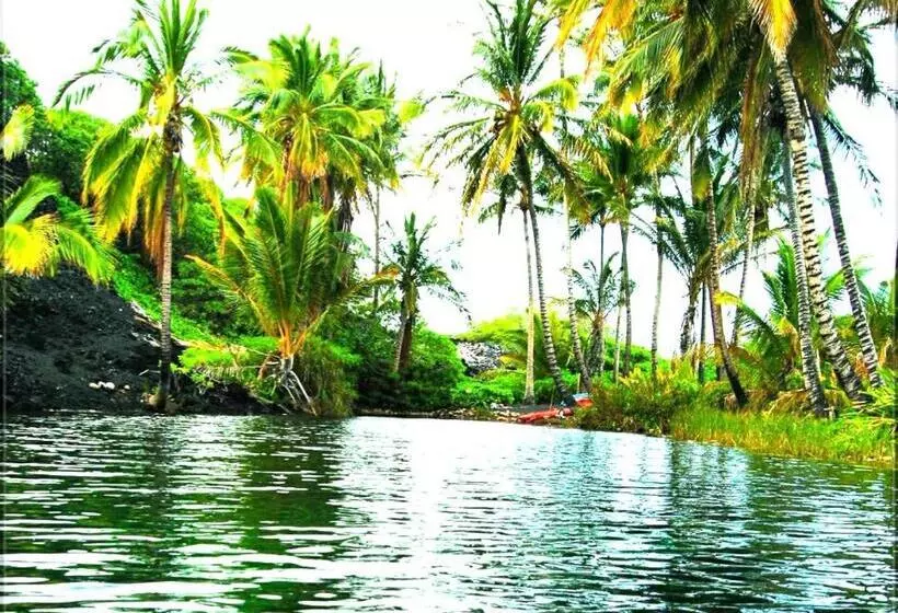 Pensione Omah Ndeso Argopeni