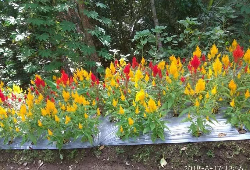 Pensione Omah Ndeso Argopeni