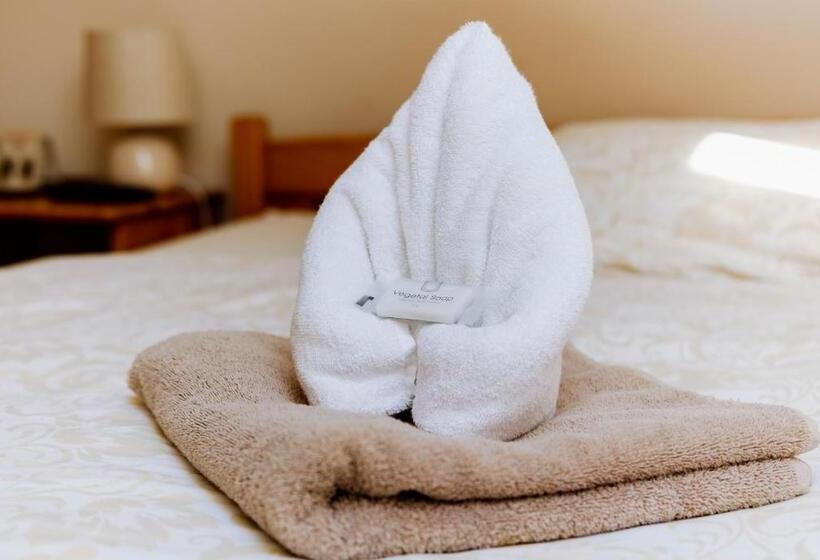 بنسيون Penzión Vendelín