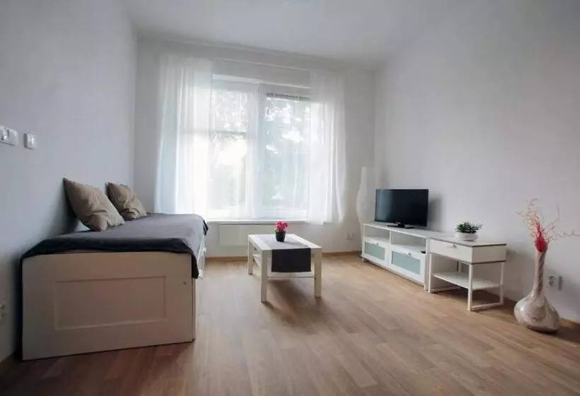 ペンション Penzion   Apartments Pod Javořicí