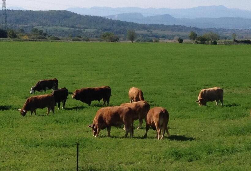 פנסיון Une Roulotte à La Campagne