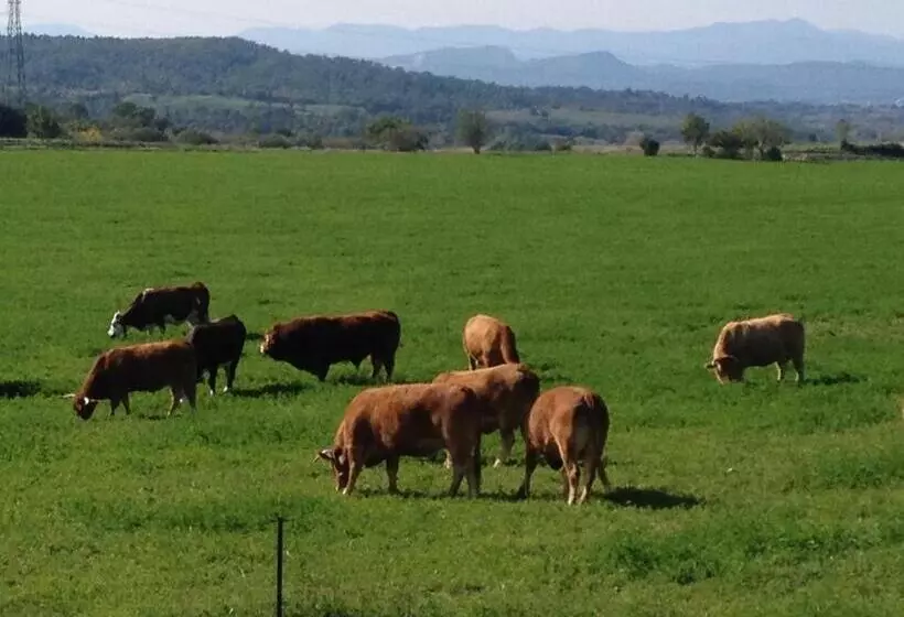 ペンション Une Roulotte à La Campagne