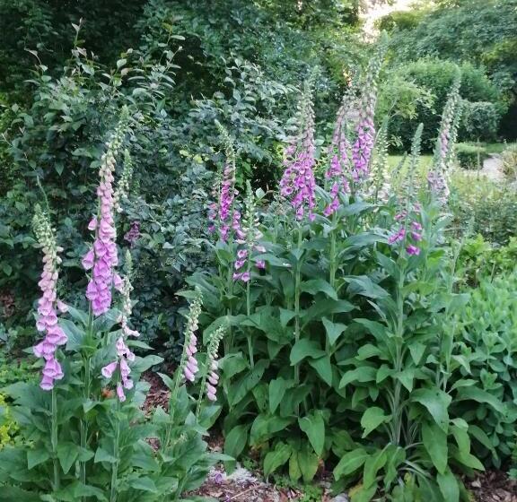 مبيت وإفطار Chambre E André Le Domaine Des Jardins De Bracquetuit