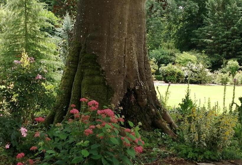 مبيت وإفطار Chambre E André Le Domaine Des Jardins De Bracquetuit