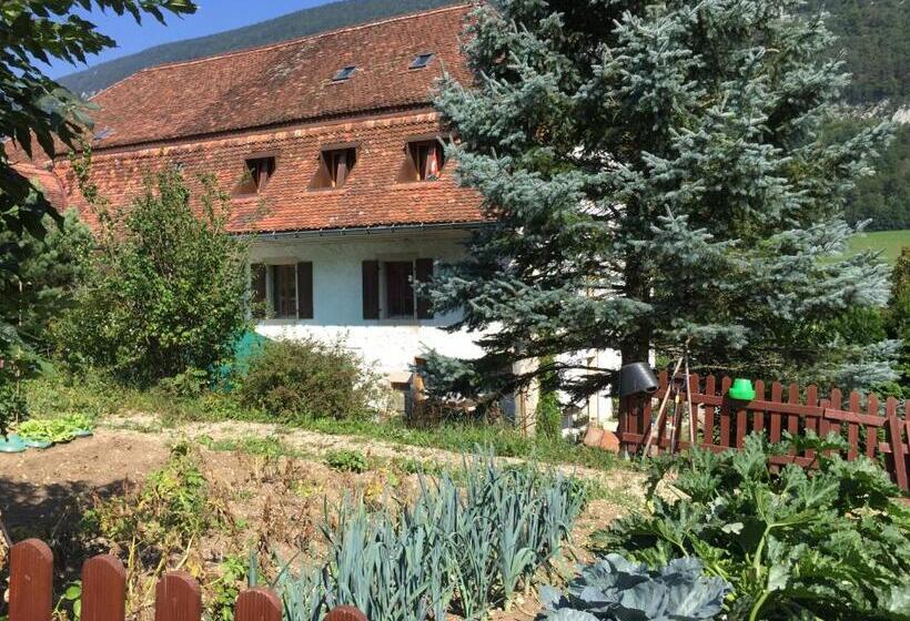 Bed & Breakfast Chez Dodo 2534 Orvin Le Foncet