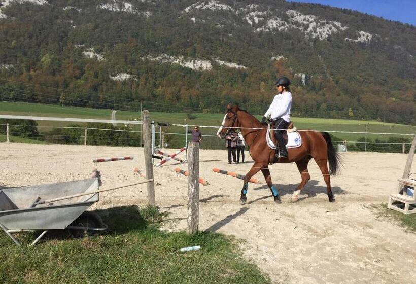 Bed & Breakfast Chez Dodo 2534 Orvin Le Foncet