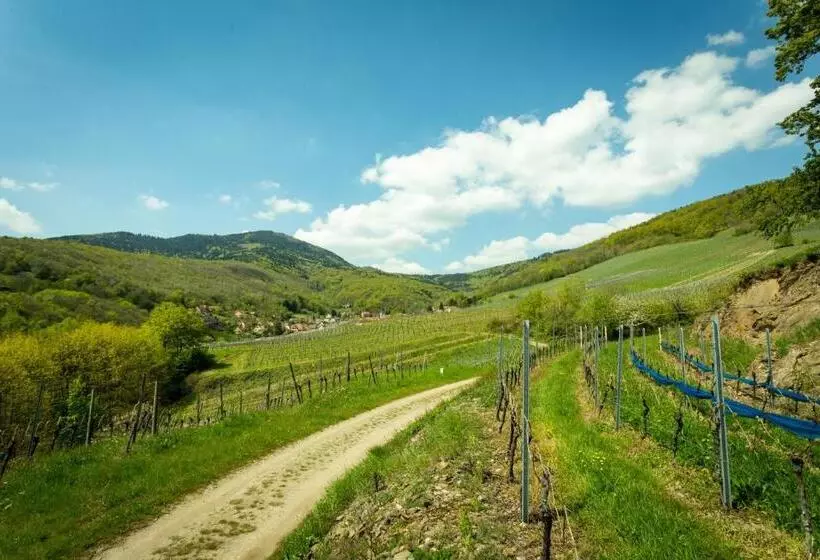 ベッドアンドブレックファースト Domaine Bleesz