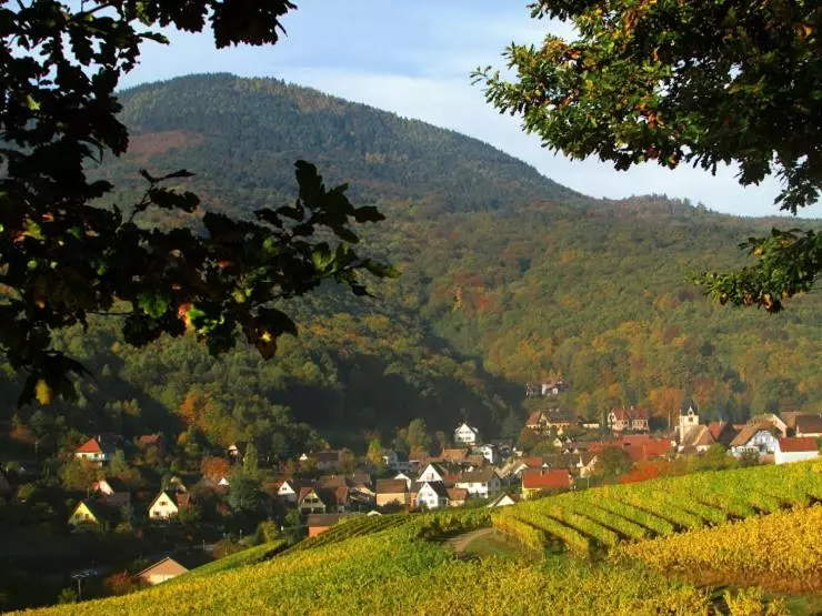 ベッドアンドブレックファースト Domaine Bleesz