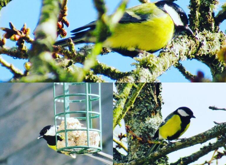 צימר Trevejean Chambre D Hotes De Charme