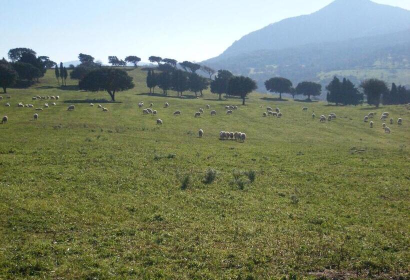 בית מלון כפרי Agriturismo Usurtala