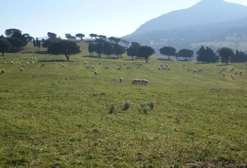 ホテル Agriturismo Usurtala