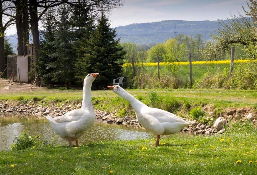 Отель Dorfgasthof Berlakovich