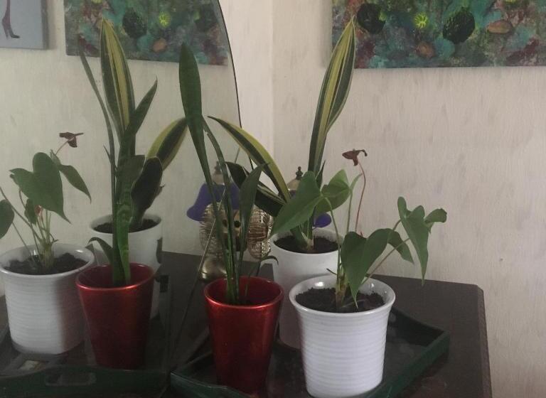 بنسيون Arthome Småland