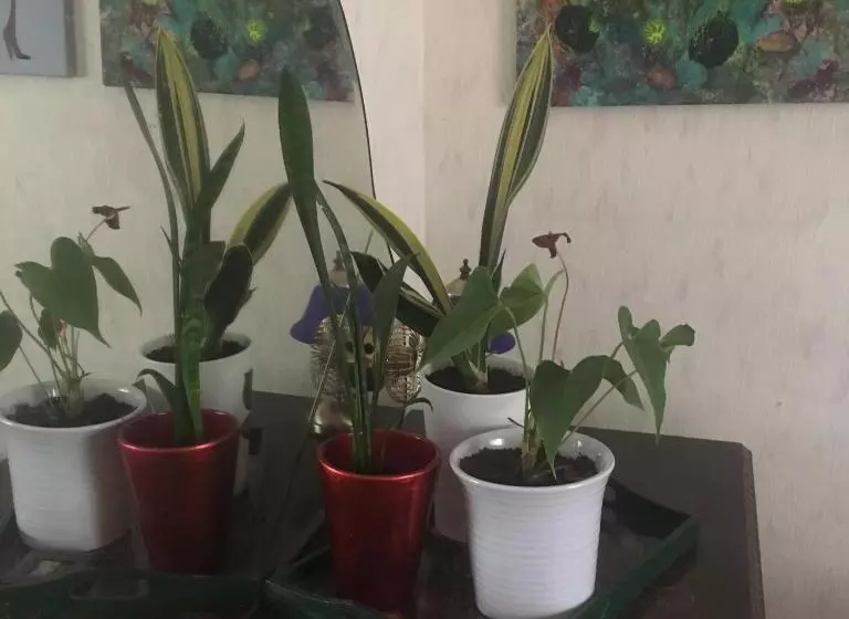 ペンション Arthome Småland