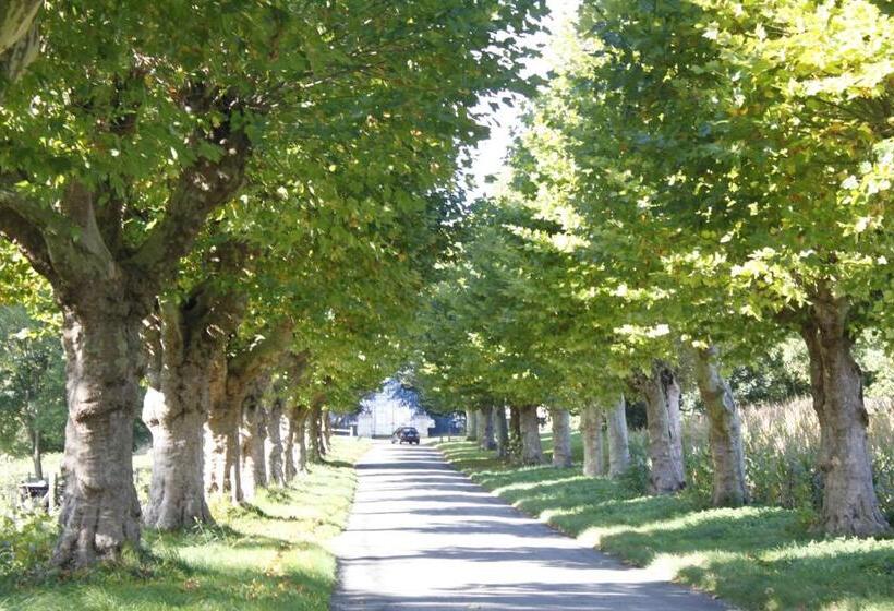 פנסיון Avenue Du Château