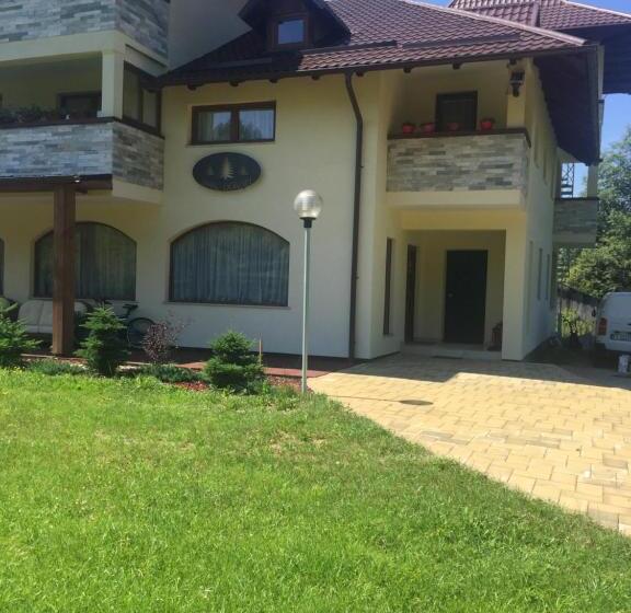 بنسيون Casa De Vacanta Saru Dornei