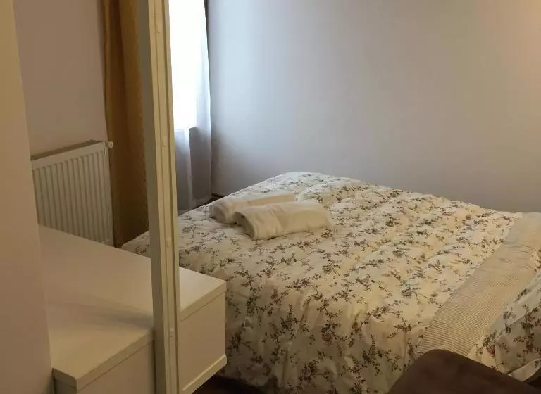 Majatalo Casa De Vacanta Saru Dornei