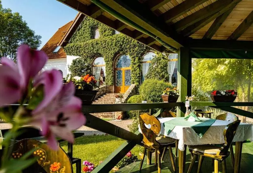 ペンション Conacul Secuiesc Székelykő Kúria