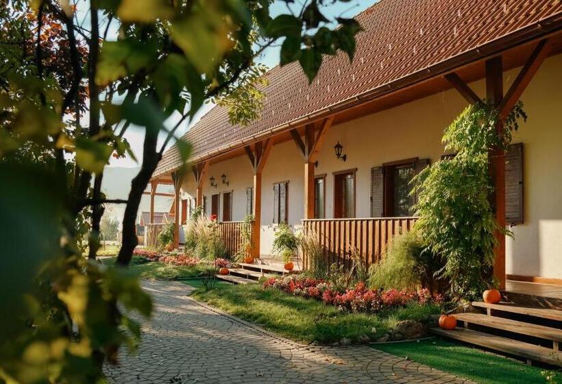 ペンション Conacul Secuiesc Székelykő Kúria