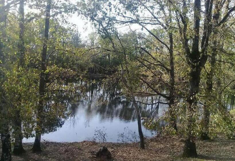 Pension Maison D Hôtes Abou Hachem