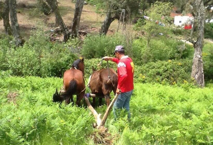 Pension Maison D Hôtes Abou Hachem