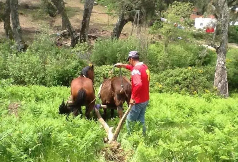 Majatalo Maison D Hôtes Abou Hachem