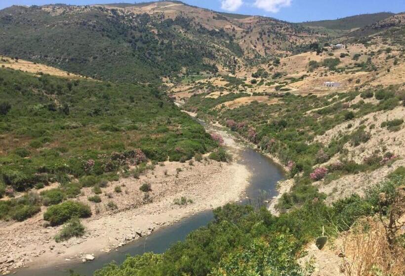 Pansiyon Maison D Hôtes Abou Hachem