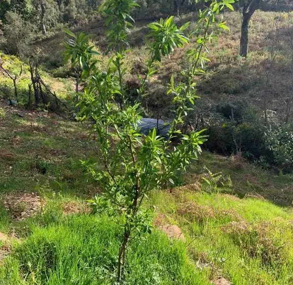 Majatalo Maison D Hôtes Abou Hachem
