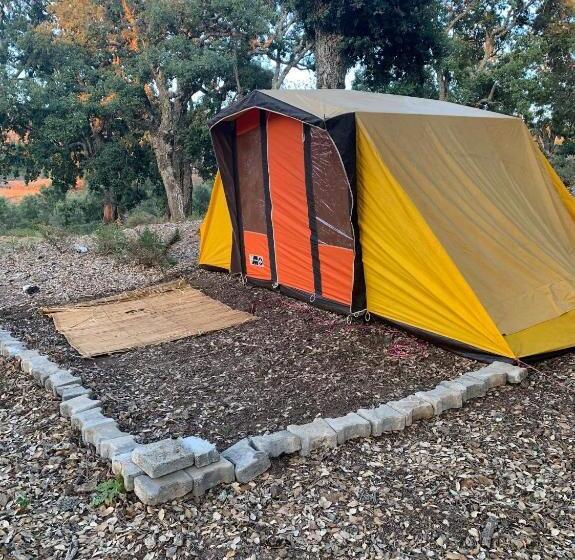 Pension Maison D Hôtes Abou Hachem