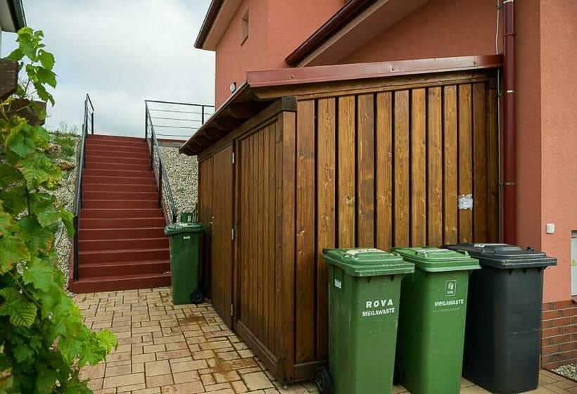 ペンション Penzion Sudomír