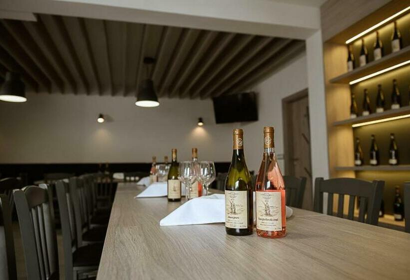 ペンション Penzion Sudomír